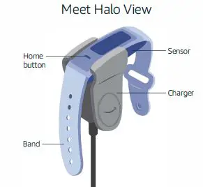 amazon Halo View Smart Fitness Band fig1