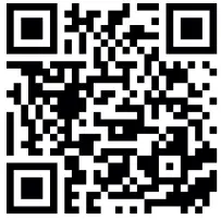 AUDIO SYSTEM HLC 2 EM HYUNDAI 73 Z Series High Low Converter - qr