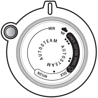 ROWENTA DW9230 Steam Force Steam Iron Setting the temperature