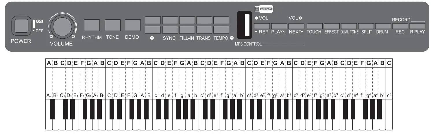 ZEBRA 88 Key Upright Electronic Piano - fig4