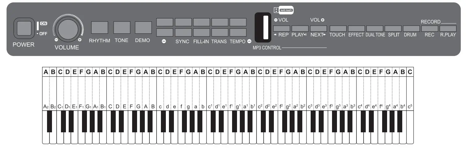 ZEBRA 88 Key Upright Electronic Piano - fig6