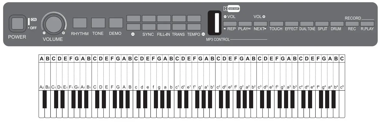 ZEBRA 88 Key Upright Electronic Piano - fig7