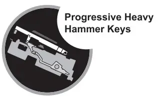 ZEBRA 88 Key Upright Electronic Piano - sambool