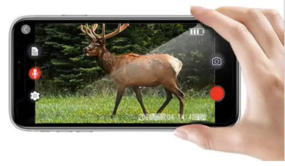 SUNTEKCAM WiFi-900 Pro WiFi Trail Camera - fig 10