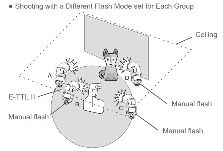 Godox TTL Li-ion Round Head Camera Flash LCD PanelGroup