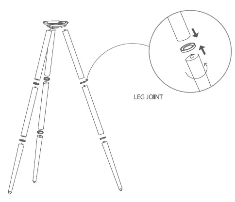 concept VP 4130 Cyclone upright vacuum cleaner 5