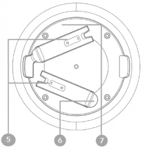 Features and content