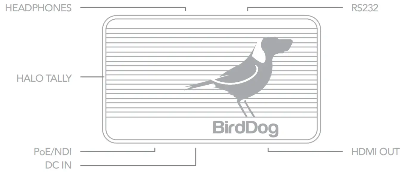 BirdDog BIBDFLEXDEC Flex 4K Out Full NDI Decoder - Physical
