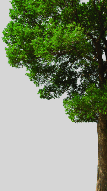 MAGFAST AIR Qi Wireless Charger - 9