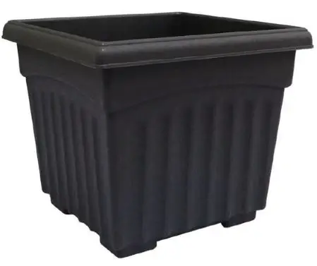 Costa Farms-S-KL6-G-POT-08-LW 4-Inch Pot