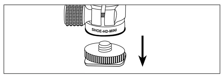 MOUNT THE BALLHEAD TO A SHOE MOUNT