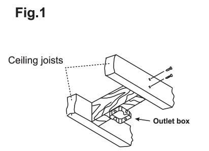 Royal Pacific 1060 Ceiling Fan - fig1