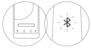 ninebot G30P Kick Scooter - First Ride 3