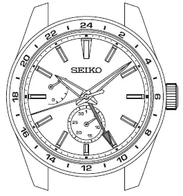 seiko watch