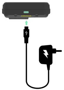 DATECS LineaPro 11 Industrial - Charging form