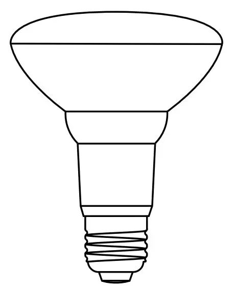 Grace Br30 Smart Bulb Instruction Manual