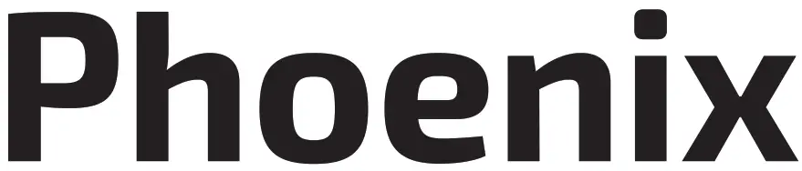 Phoenix Quadcopter Drone with Wi-Fi Camera- Logo