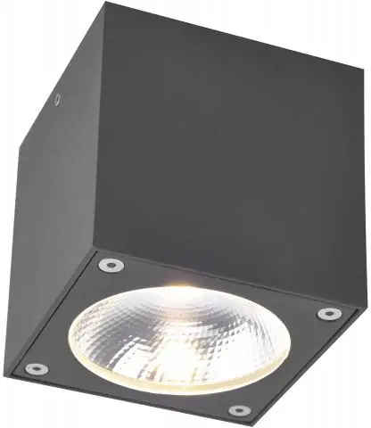 paul-neuhaus 831319 GEORG outdoor lamp