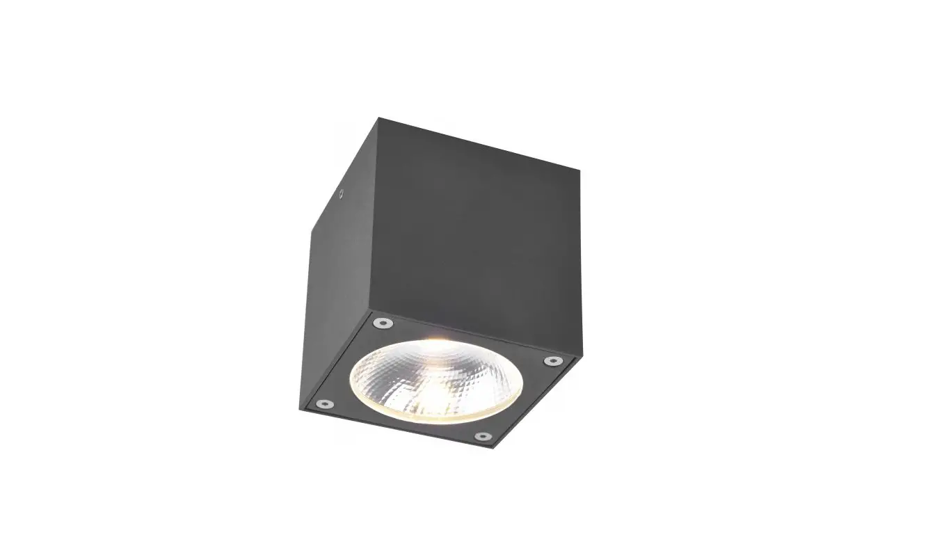 Paul-neuhaus 831319 Georg Outdoor Lamp User Manual Paul-neuhaus 831319 Georg Outdoor Lamp User Manual