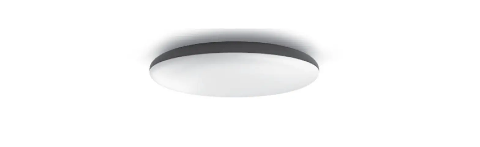 Philips Cher Colour Ambience Ceiling Light User Manual Philips Cher Colour Ambience Ceiling Light User Manual