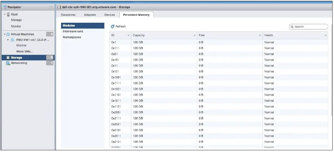 intel Optane Persistent Memory and SAP HANA Platform Configuration on VMware ESXi-12