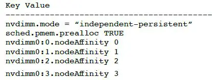intel Optane Persistent Memory and SAP HANA Platform Configuration on VMware ESXi-16