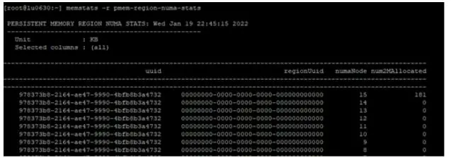 intel Optane Persistent Memory and SAP HANA Platform Configuration on VMware ESXi-18