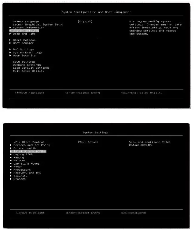 intel Optane Persistent Memory and SAP HANA Platform Configuration on VMware ESXi-3