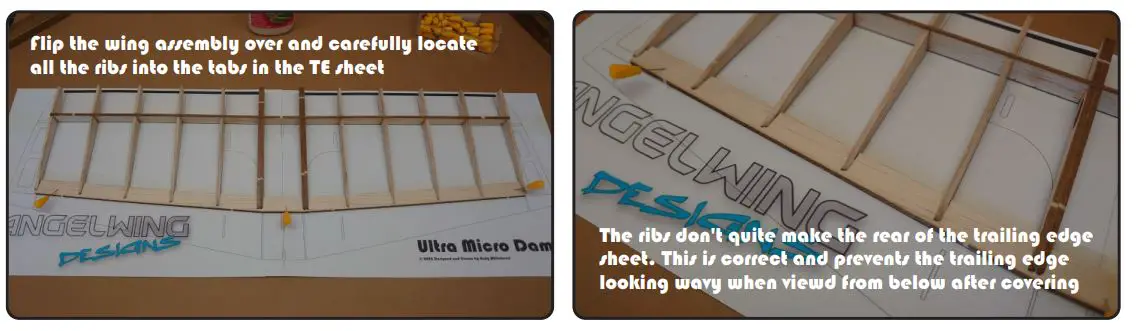 ANGELWING-DESIGNS-Micro-Dammit-E-fig-3