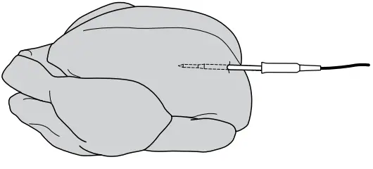 CORRECTLY THERMOMETER