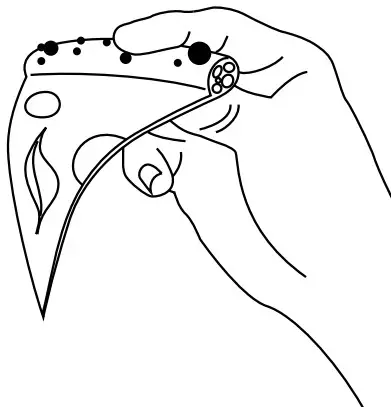 Breville BPZ820 Pizzaiolo Smart Oven - Figure 2