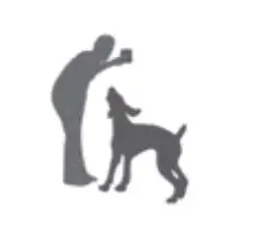 eXtreme DOG FENCE GE G2 Dog Training Collar - DOG 5