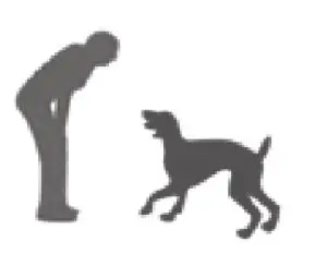 eXtreme DOG FENCE GE G2 Dog Training Collar - DOG 6