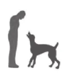 eXtreme DOG FENCE GE G2 Dog Training Collar - DOG 7