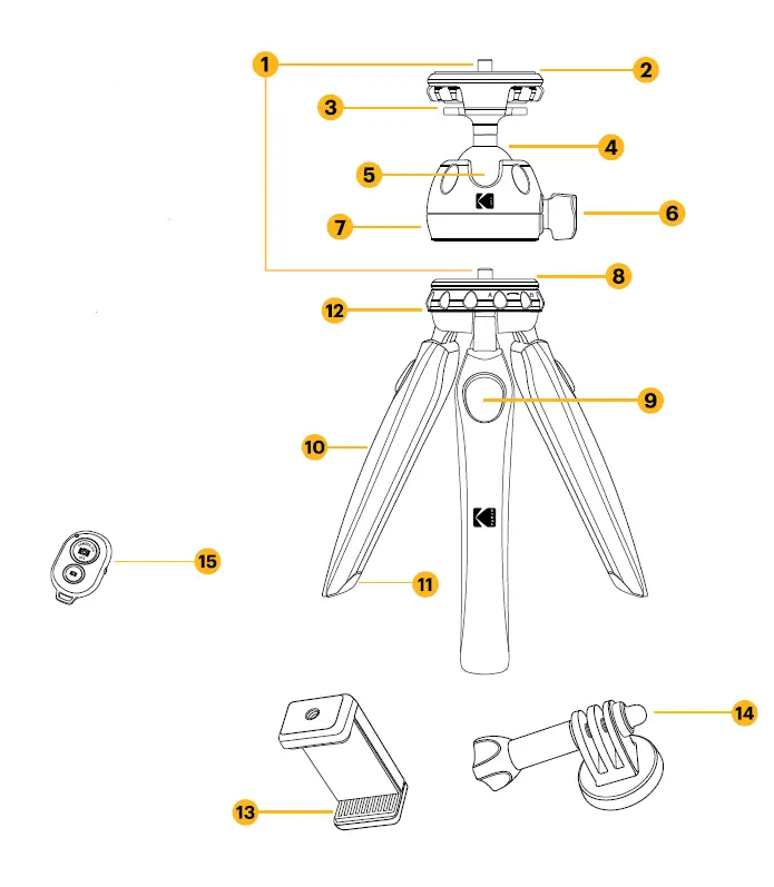 KODAK Photo Gear Mini Tripod with Remote 9 Inch 23 cm FIG 2