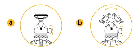 KODAK Photo Gear Mini Tripod with Remote 9 Inch 23 cm FIG 5