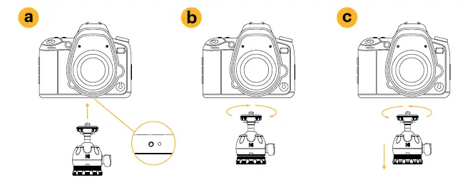KODAK Photo Gear Mini Tripod with Remote 9 Inch 23 cm FIG 6