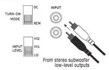 JBL 700BASS600 Stadium BassHub Amplifiers-8