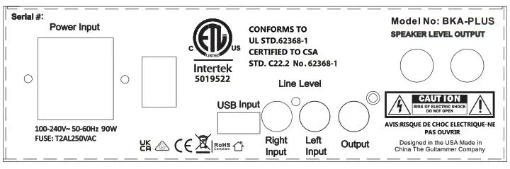 ButtKicher BKA PLUS Power Amplifier - Rear Panel