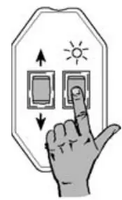 SELVE SE Plus R Electronic Radio Motors - Icon
