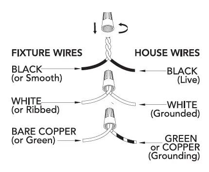 Hunter-19789-19790-Gatz-2