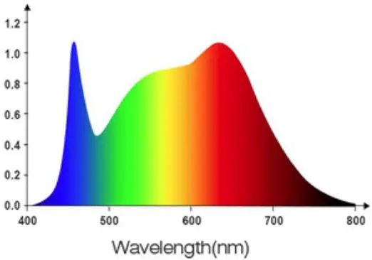 JUEYINGBAILI-LED-Grow-Lights-for-Indoor-Plants-img-2