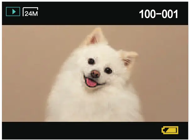 LECRAN DC403 AF Digital Camera - how to take 2