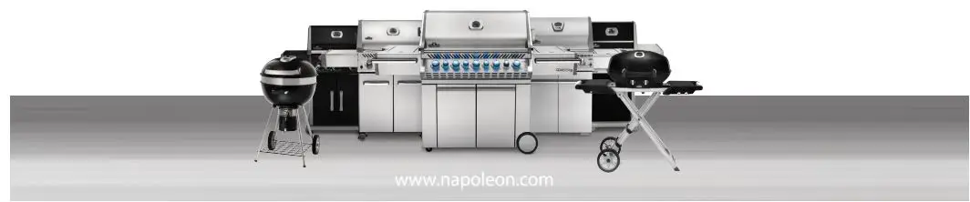 NAPOLEON-PRO285X-TravelQ-Portable-BBQ-fig 1