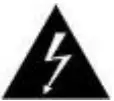 Electric Warning Icon