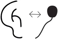 Freecom 4X - Step 9 - Option 1