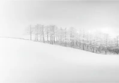 HOLOSUN HS515GM Micro Sight1