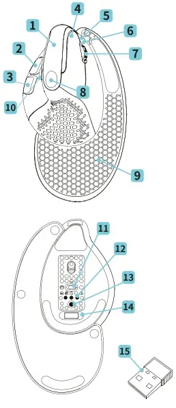 URBAN-factory-UBFEPM50UF-Combo-2.4GHz-and-Bluetooth-Wireless-Vertical-Ergonomic-Mouse-fig-2