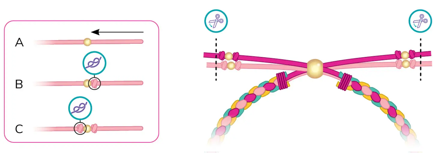 make-it-real-1728-Sweet-Treats-DIY-Bracelet-Kit-31