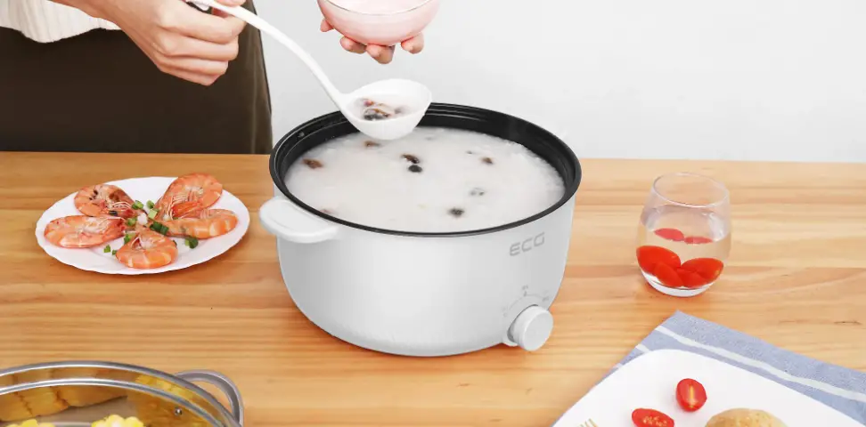 Ecg Eh 1886 Double Electric Pot Instruction Manual